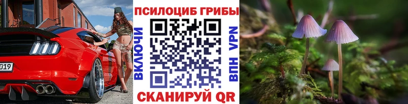 ОМГ ОМГ маркетплейс  Пенза  Галлюциногенные грибы прущие грибы  как найти наркотики 
