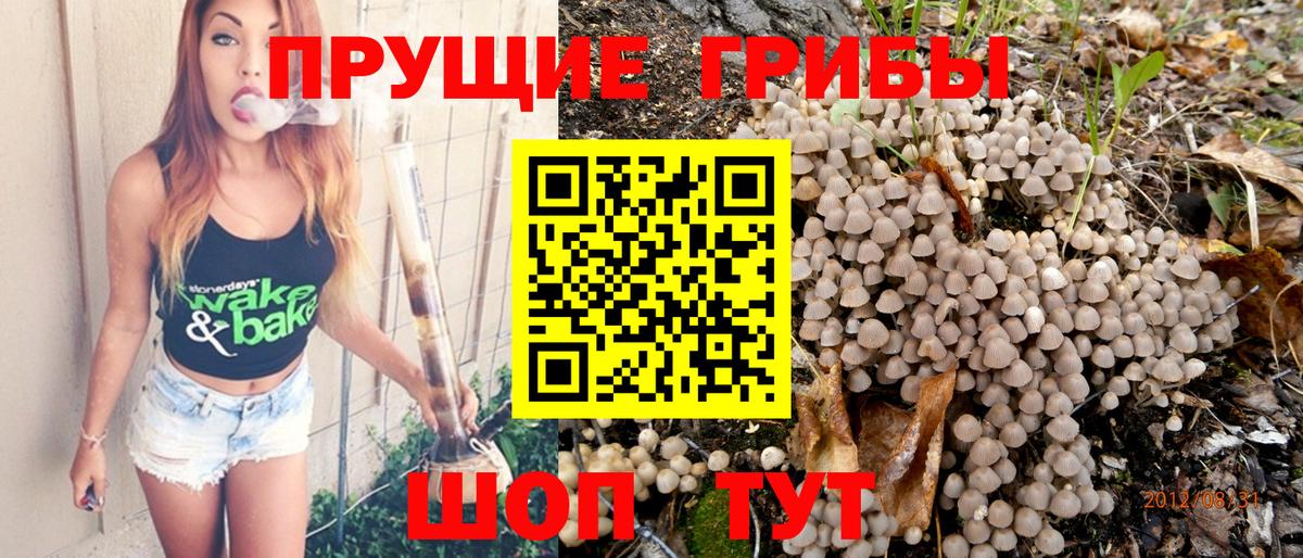 Псилоцибиновые грибы Magic Shrooms Россия
