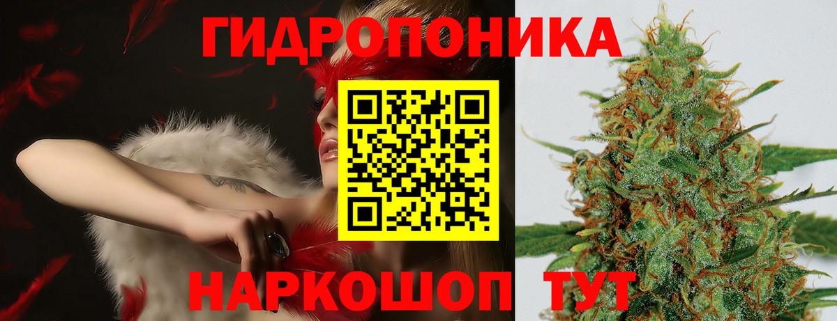 Бошки марихуана AK-47 Россия